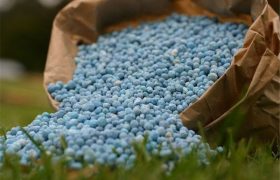کودهای  یارانه ای مورد نیاز استان تامین شده است