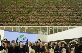 شهرک کفش یا شهرک سرطان؟/وقتی امضای طلایی سلامت مردم را گروگان می‌گیرد