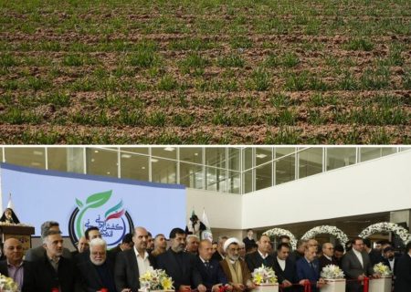 شهرک کفش یا شهرک سرطان؟/وقتی امضای طلایی سلامت مردم را گروگان می‌گیرد
