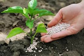 ۵۶ درصد از قیمت کود اوره یارانه ای را دولت پرداخت میکند
