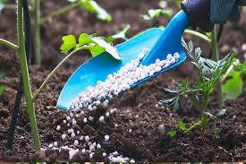 کسب رتبه برتر کشوری شرکت خدمات حمایتی کشاورزی استان قم در ارزیابی عملکرد استان ها در جشنواره شهید رجایی